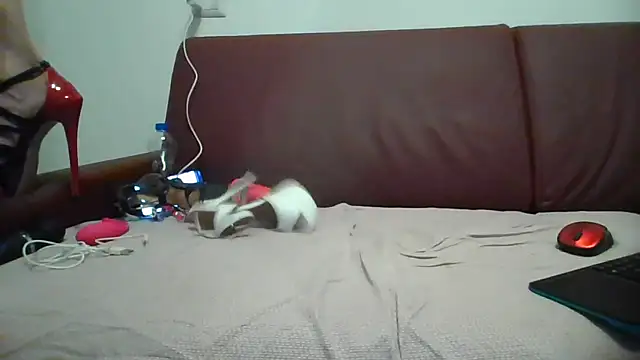 Danielasexy74 online show from November 14, 4:38 pm