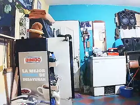 Snapshot of DiAntool chatting on January 18, 5:44 am DiAntool online show from January 18, 5:44 am