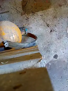 Din0071 online show from January 7, 5:59 pm