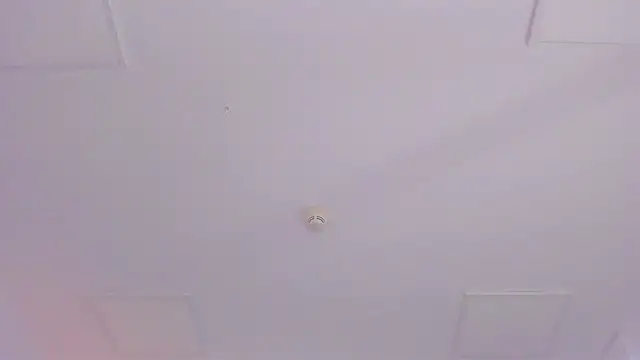 JassyeJoy online show from January 7, 5:21 am