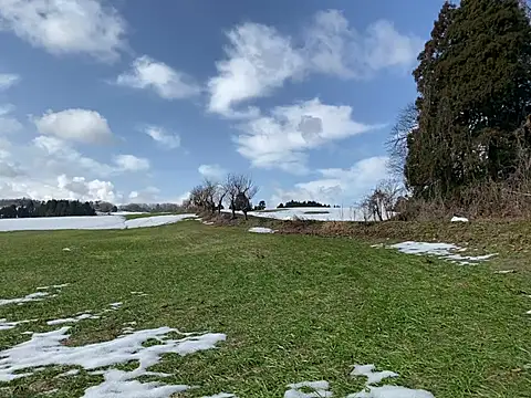 Snapshot of ge3noxxx chatting on March 6, 12:43 am ge3noxxx online show from March 6, 12:43 am