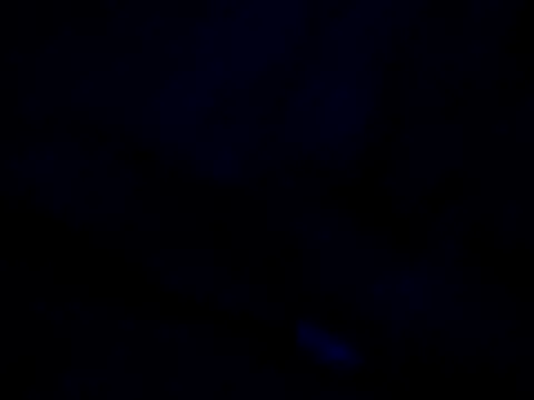 Snapshot of Vinyboy69 chatting on November 8, 4:12 am Vinyboy69 online show from November 8, 4:12 am
