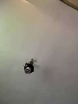 Brando2585 online show from April 3, 1:42 pm