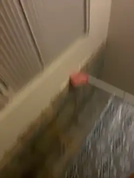 Snapshot of prettlovely14 chatting on February 20, 4:42 am prettlovely14 online show from February 20, 4:42 am