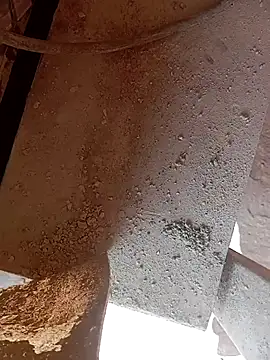 Kurtsikicixh online show from October 22, 9:31 am