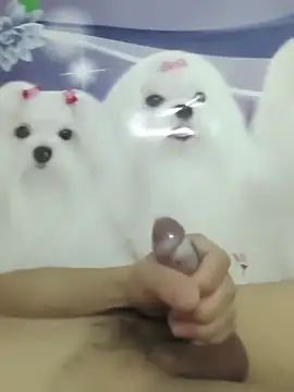 Snapshot of 826687 chatting on March 2, 1:40 pm 826687 online show from March 2, 1:40 pm