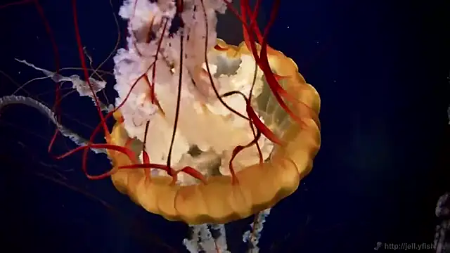 Snapshot of streamy_test13 chatting on March 14, 8:10 am streamy test13 online show from March 14, 8:10 am