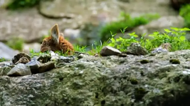 Snapshot of streamy_test13 chatting on January 9, 3:04 pm streamy test13 online show from January 9, 3:04 pm