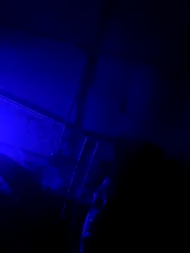 Snapshot of jordontheone1 chatting on November 5, 9:48 pm jordontheone1 online show from November 5, 9:48 pm