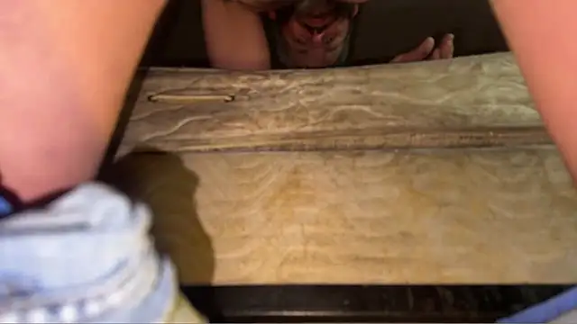 pipeload1275 online show from January 19, 6:50 am