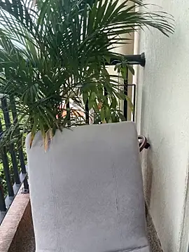 Pretty Isadora online show from March 4, 4:57 pm