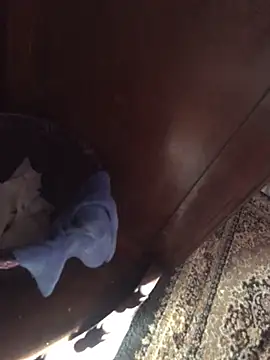 Snapshot of TangoingSorbet chatting on November 2, 10:17 am TangoingSorbet online show from November 2, 10:17 am