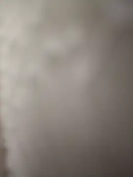 Snapshot of indianbull3684 chatting on December 11, 8:07 pm indianbull3684 online show from December 11, 8:07 pm