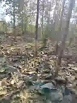 Snapshot of 88karan88 chatting on December 27, 4:58 am 88karan88 online show from December 27, 4:58 am