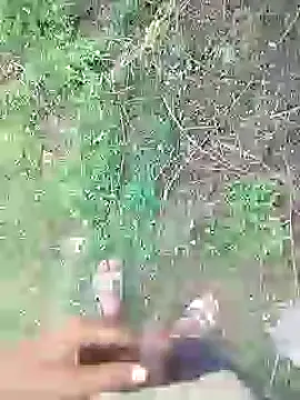 Snapshot of 88karan88 chatting on January 20, 9:03 am 88karan88 online show from January 20, 9:03 am