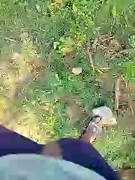 Snapshot of 88karan88 chatting on January 23, 3:37 am 88karan88 online show from January 23, 3:37 am