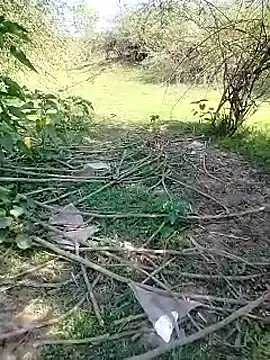 Snapshot of 88karan88 chatting on March 3, 5:09 am 88karan88 online show from March 3, 5:09 am