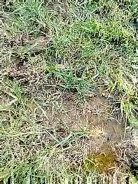 Snapshot of 88karan88 chatting on March 3, 11:22 am 88karan88 online show from March 3, 11:22 am