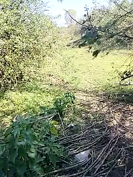 Snapshot of 88karan88 chatting on March 7, 4:24 am 88karan88 online show from March 7, 4:24 am