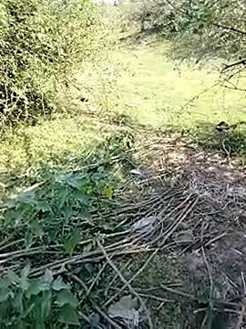 Snapshot of 88karan88 chatting on March 11, 4:43 am 88karan88 online show from March 11, 4:43 am