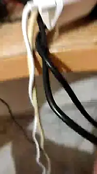 skrigul12 online show from December 28, 1:38 pm