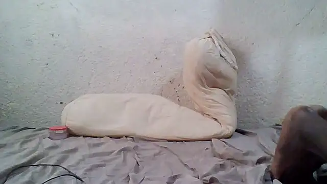 demo2004 online show from October 17, 11:13 am