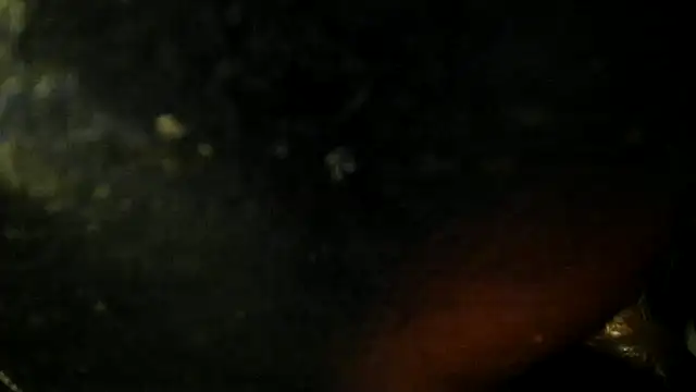 Snapshot of leatherz69 chatting on May 22, 2:40 am leatherz69 online show from May 22, 2:40 am