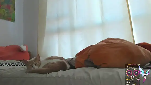 linnie  online show from January 30, 11:55 am