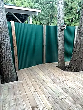 twist699 online show from November 11, 6:41 pm