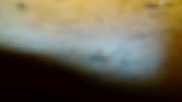 Snapshot of Gigadickman chatting on February 9, 11:57 pm Gigadickman online show from February 9, 11:57 pm