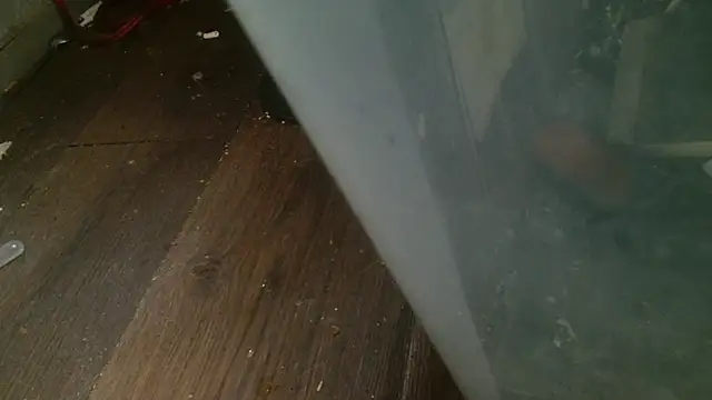 Snapshot of Gigadickman chatting on February 27, 4:31 am Gigadickman online show from February 27, 4:31 am