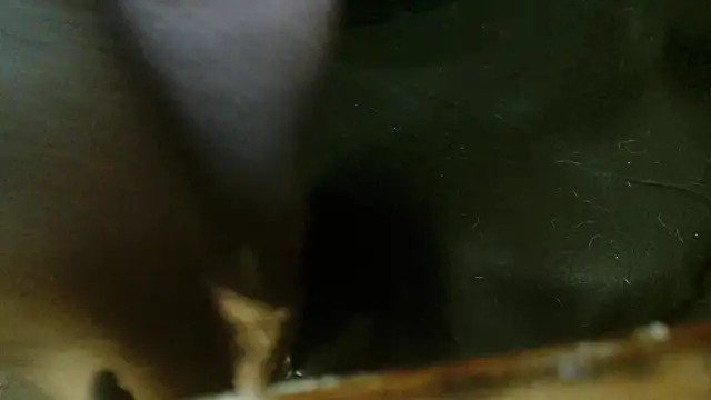 Snapshot of Gigadickman chatting on October 4, 2:31 am Gigadickman online show from October 4, 2:31 am