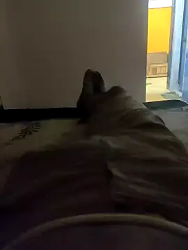 HandsomeHunky1 online show from November 10, 4:50 pm