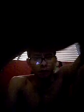 Snapshot of VL25DN26 chatting on December 28, 8:25 pm VL25DN26 online show from December 28, 8:25 pm