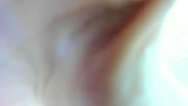 Snapshot of AishaRouhi chatting on January 17, 4:49 am AishaRouhi online show from January 17, 4:49 am