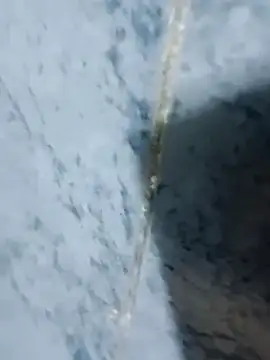 Snapshot of Chancho141414 chatting on October 18, 2:03 am Chancho141414 online show from October 18, 2:03 am