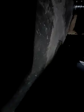 Snapshot of sandip-bhai chatting on December 25, 7:02 pm sandip-bhai online show from December 25, 7:02 pm