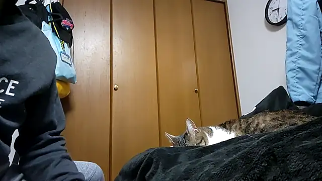 07YUKIO online show from April 4, 12:35 pm