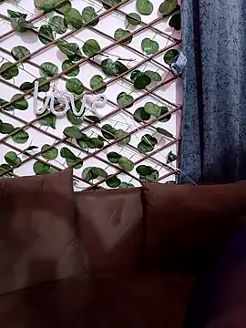 Bold-Cat online show from February 7, 6:02 pm