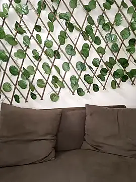 Bold-Cat online show from October 2, 8:16 pm