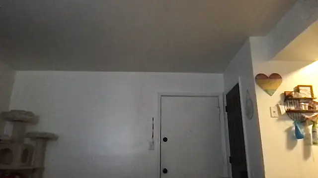 Snapshot of SpunCandy chatting on January 17, 3:17 pm SpunCandy online show from January 17, 3:17 pm