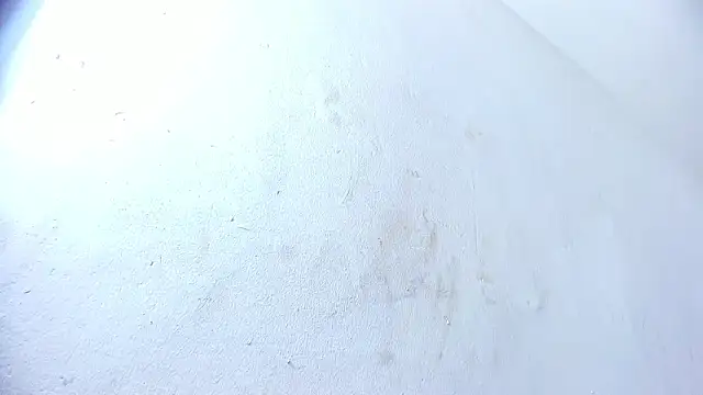 brant garciabbc online show from February 1, 10:02 pm