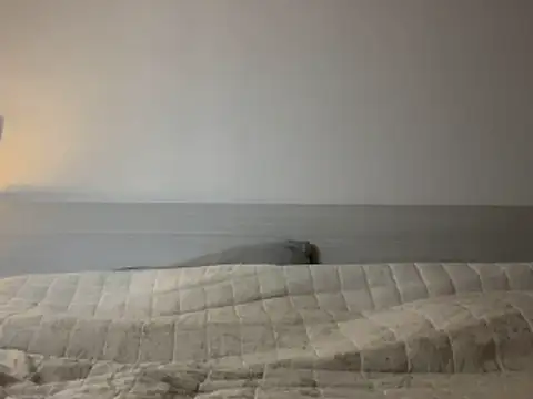 Snapshot of Diletta21 chatting on February 11, 3:50 pm Diletta21 online show from February 11, 3:50 pm