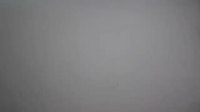 Cute-Tanya online show from February 10, 1:59 pm