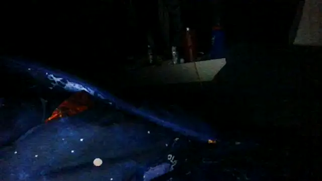 Snapshot of toast843 chatting on February 9, 6:22 am toast843 online show from February 9, 6:22 am