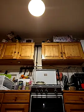 Snapshot of intx800 chatting on March 21, 3:12 am intx800 online show from March 21, 3:12 am