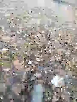 Nik888Nik888 online show from January 9, 8:03 am