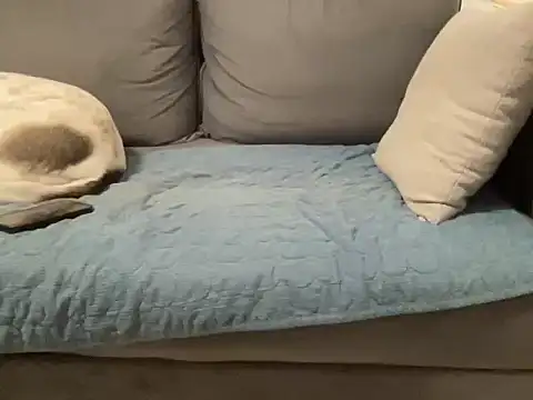 4small4inchlol online show from February 20, 11:49 pm