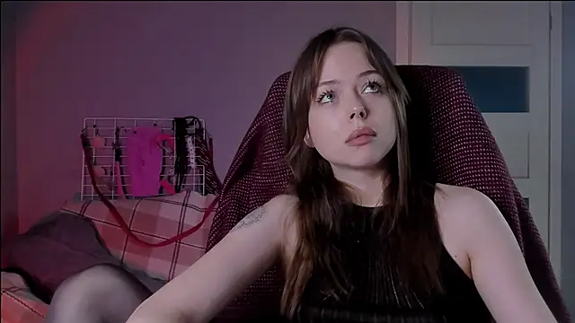 hype meal home online show from November 27, 5:37 pm