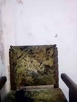 Bulbul 02 online show from March 5, 10:44 am